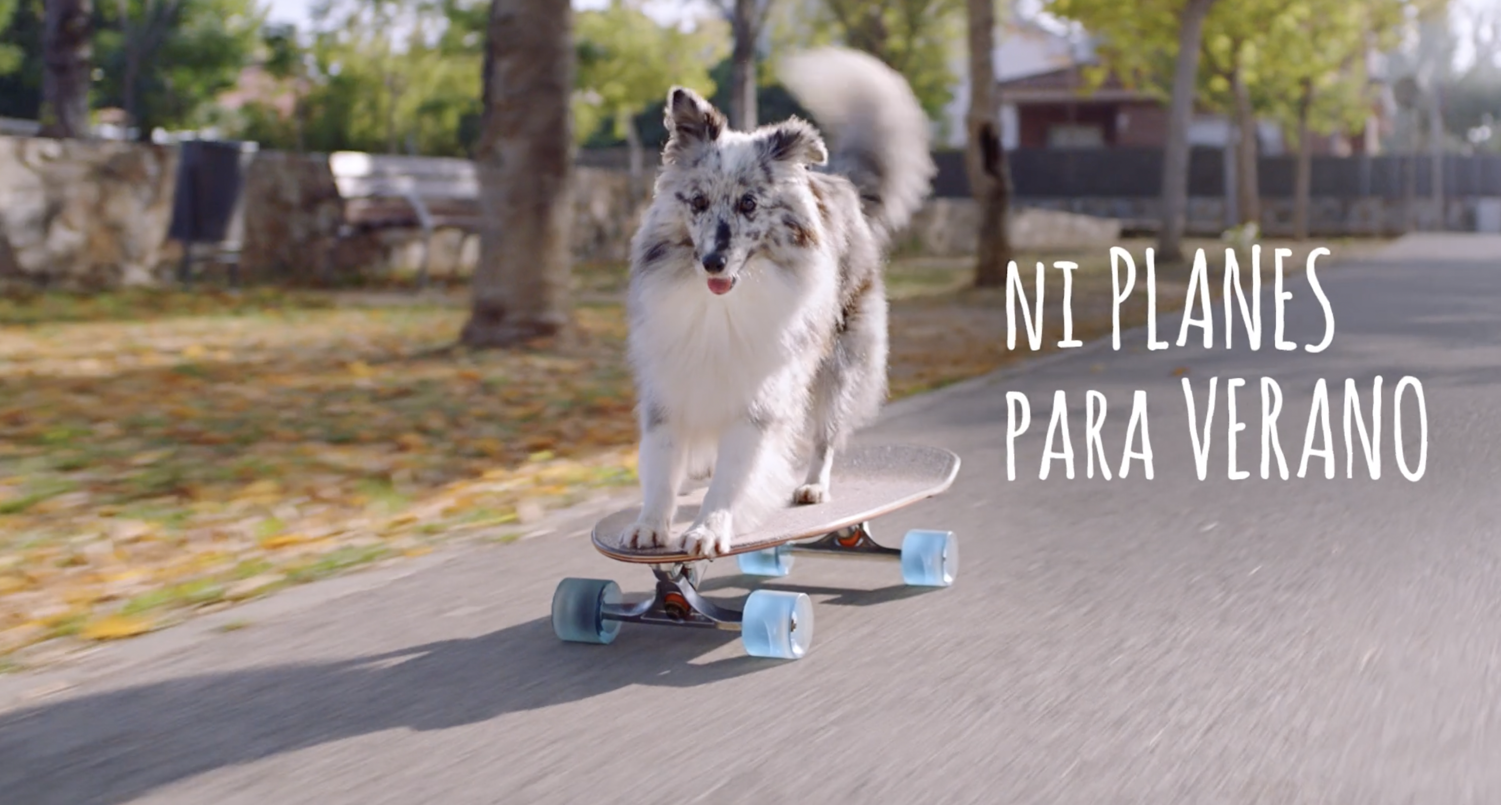 Captura de Pantalla 2022-12-28 a las 14.35.13