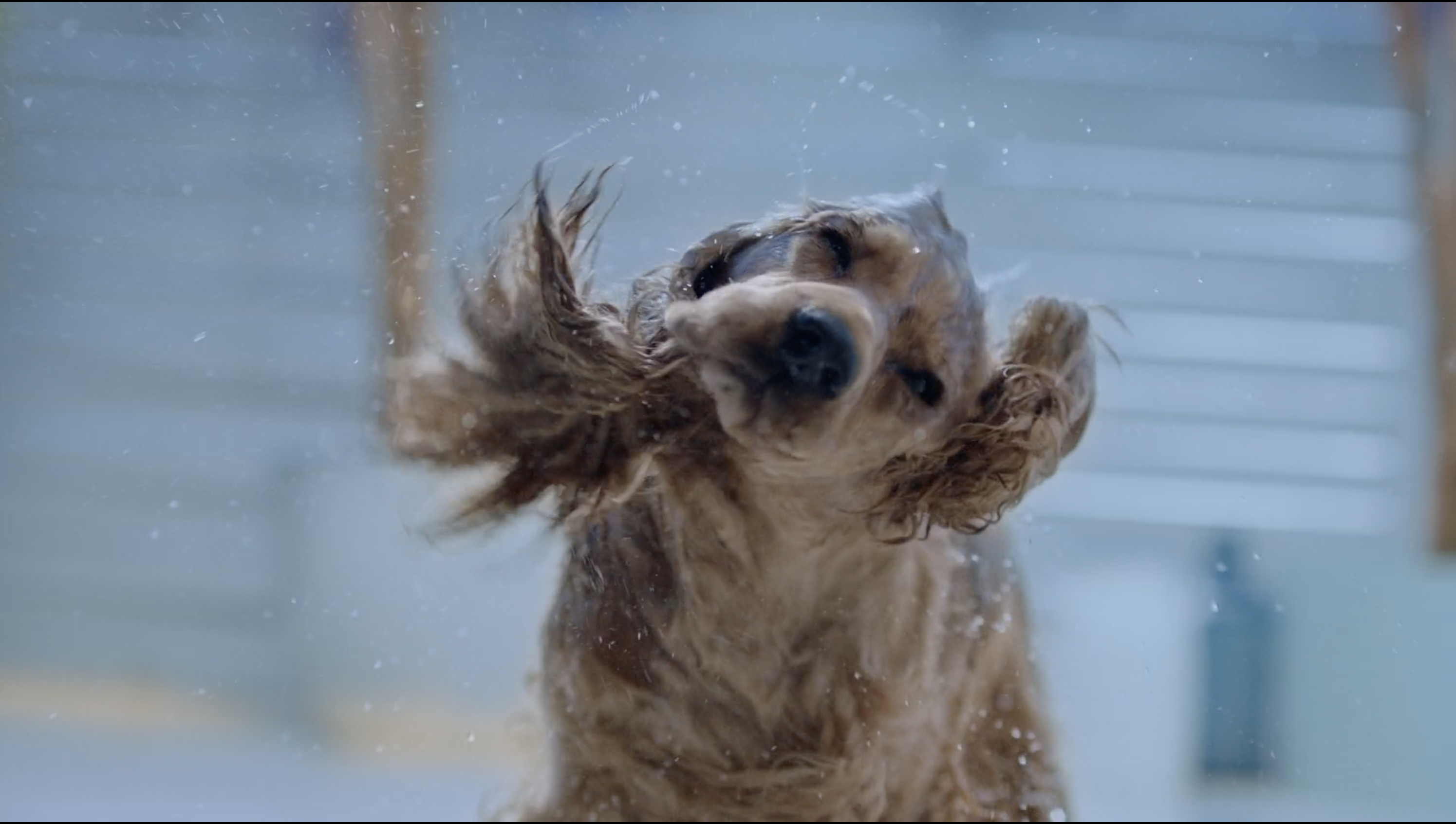 Captura de Pantalla 2022-12-28 a las 14.40.01