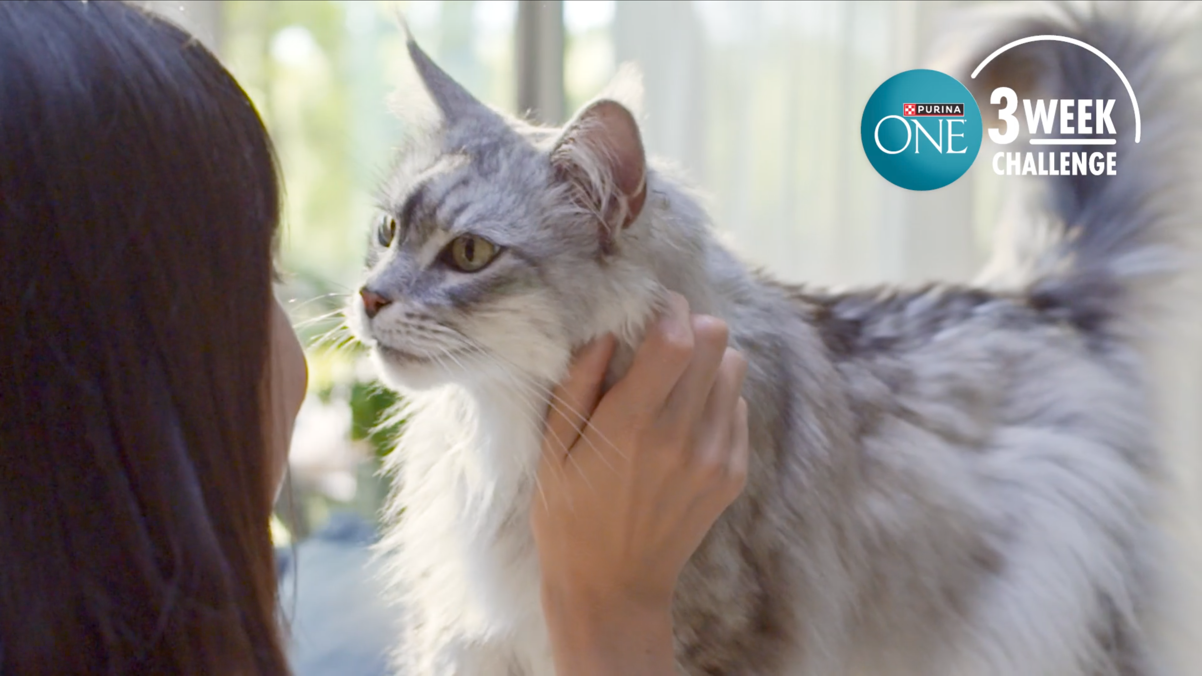 Captura de pantalla 2025-12-03 a las 16.17.16